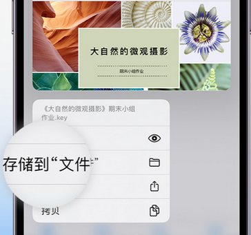 市北apple维修中心分享iPhone文件应用中存储和找到下载文件