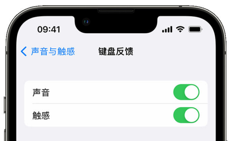 市北苹果手机维修分享iPhone 14触感键盘使用方法 