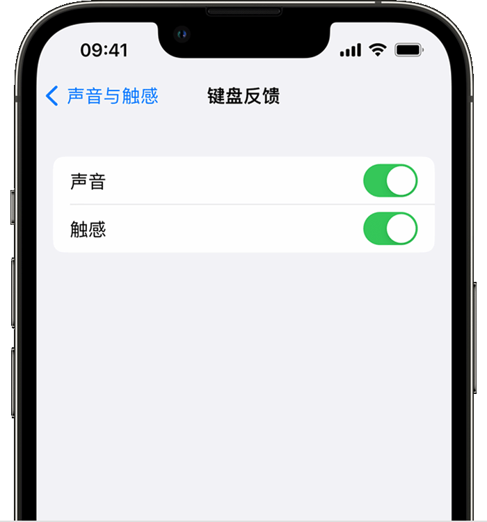 市北苹果14维修店分享如何在 iPhone 14 机型中使用触感键盘 