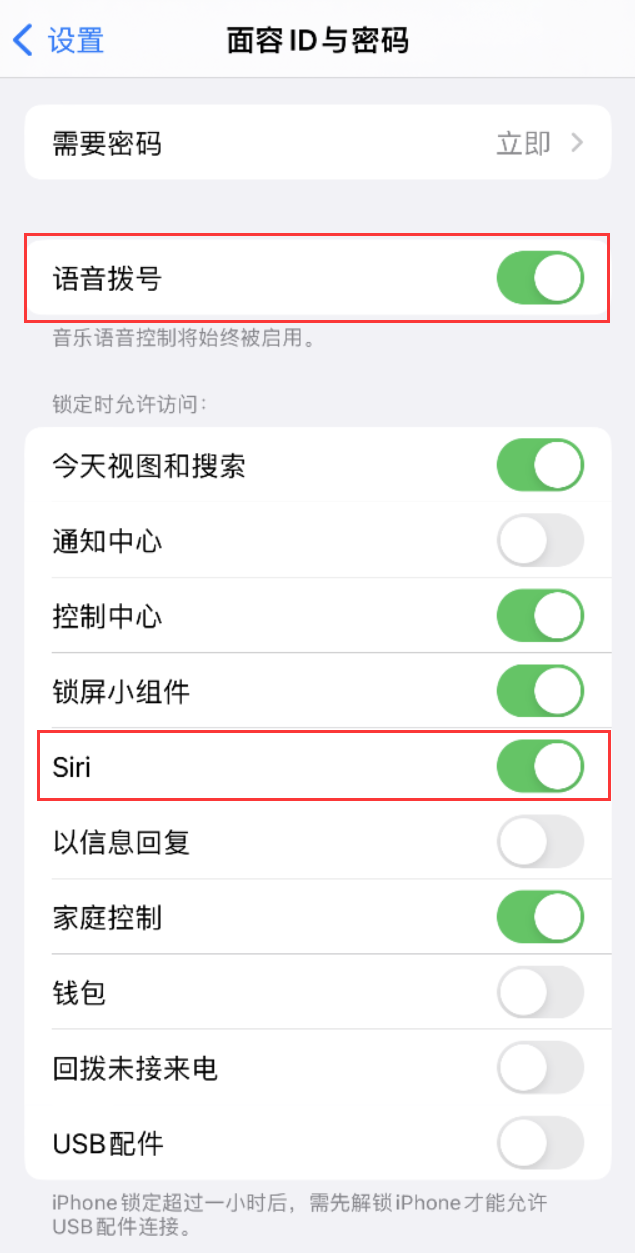 市北苹果维修网点分享不解锁 iPhone 的情况下通过 Siri 拨打电话的方法 