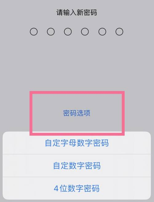 市北苹果14维修分享iPhone 14plus设置密码的方法 