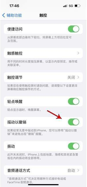 市北苹果手机维修分享iPhone手机如何设置摇一摇删除文字 
