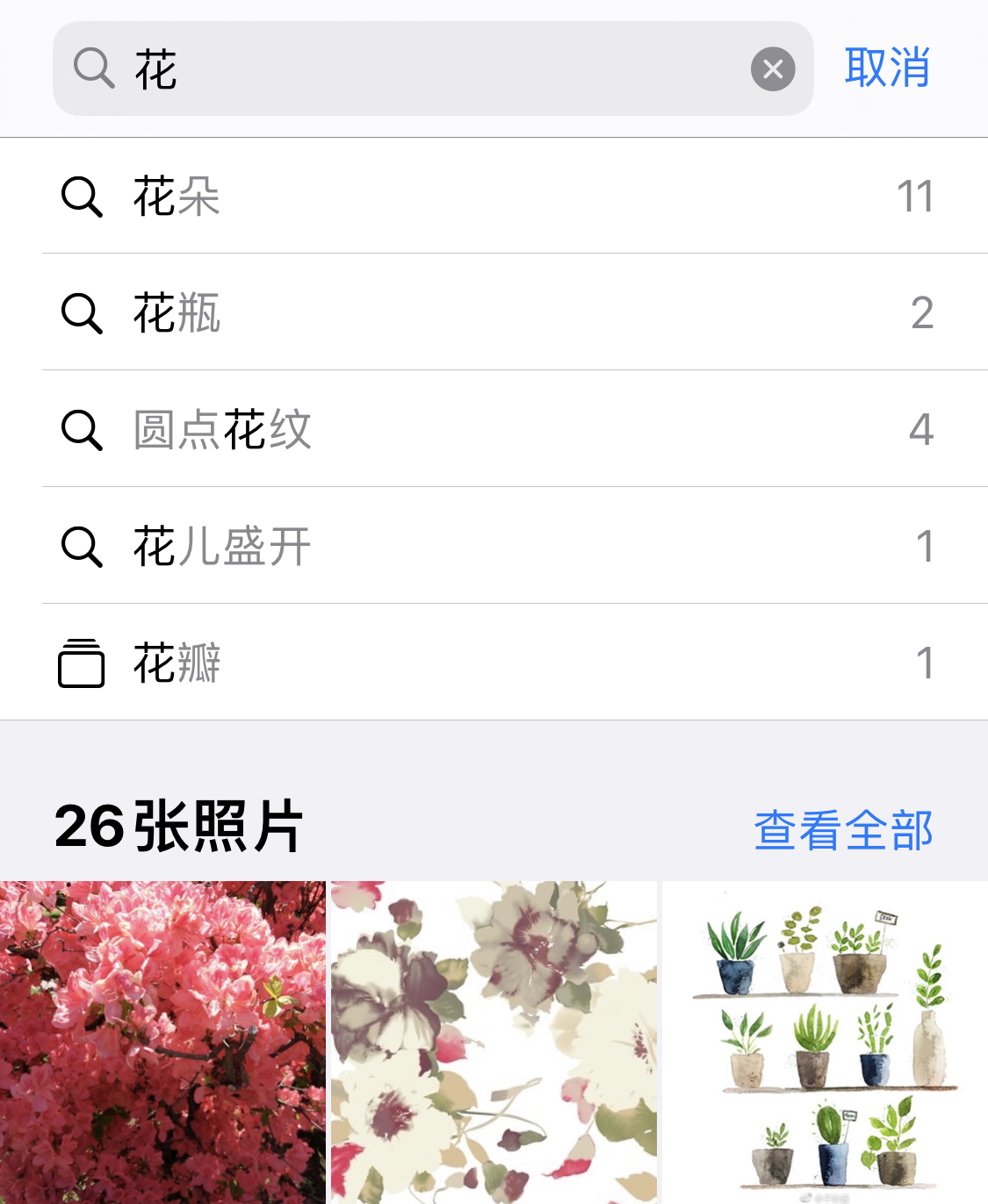 市北苹果手机维修分享iPhone 小技巧 