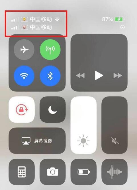 市北苹果手机维修分享为 iPhone 12 双卡设置标签 